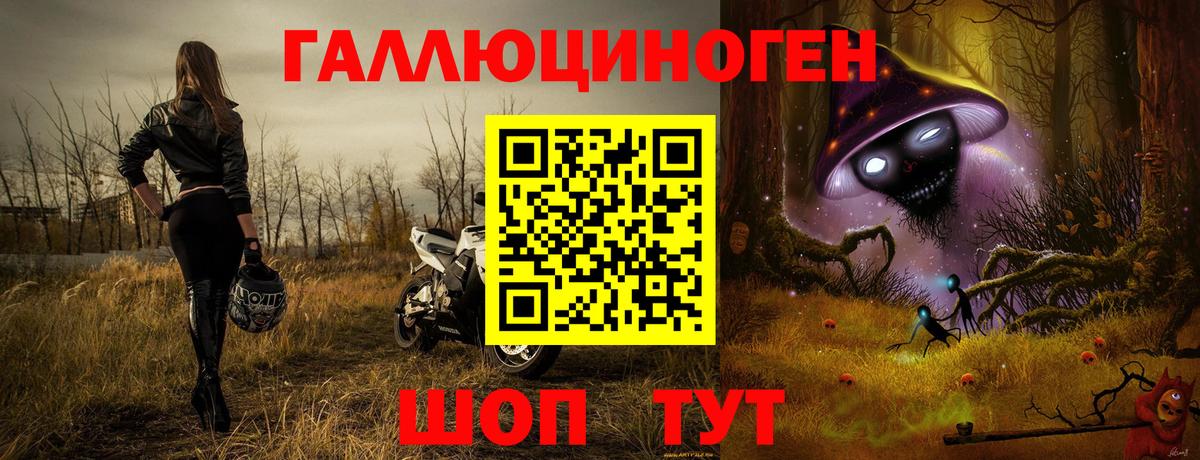 Псилоцибиновые грибы Psilocybe Бузулук