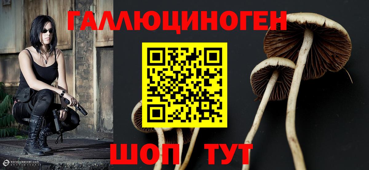 Псилоцибиновые грибы GOLDEN TEACHER  Вход с VPN  Псилоцибиновые грибы мицелий  Бузулук 